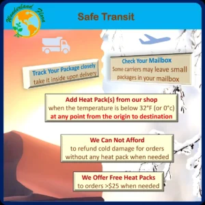 Croton Mammy Live Plant – 4 inch Pot – Codiaeum Variegatum – Indoor Foliage with Ceramic Moose Planter - Image 2