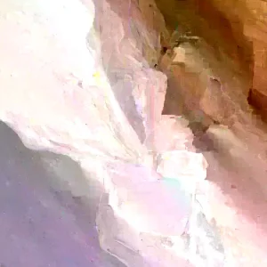 Culantro Seeds Eryngium Foetidum Ngo Gai - 200 to 1000+ Herb Seeds for Outdoor - Image 2