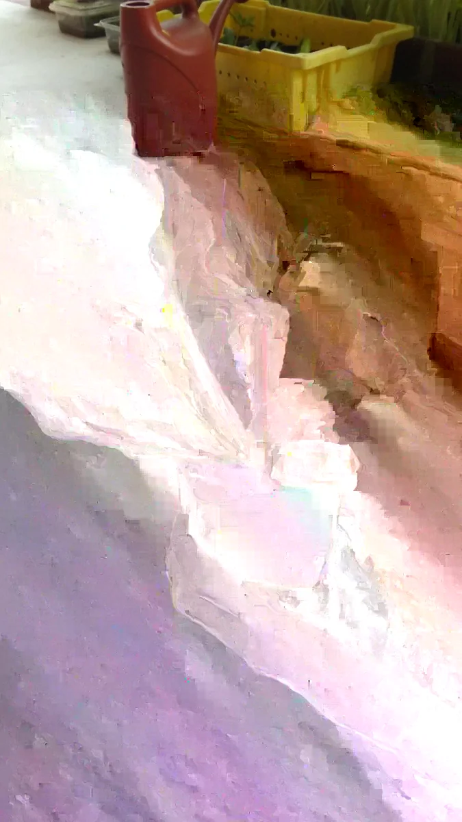 Culantro Seeds Eryngium Foetidum Ngo Gai - 200 to 1000+ Herb Seeds for Outdoor - Image 2