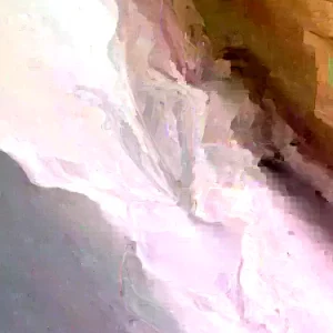 Culantro Seeds Eryngium Foetidum Ngo Gai - 200 to 1000+ Herb Seeds for Outdoor - Image 3