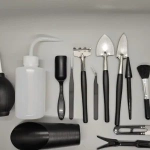 DIY Succulent Arrangement Kit with 3 Live Plants & Glass Bowl - Indoor Terrarium Decor - Image 10