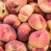 Donut Peach Tree Live Plant - 2-3 ft Tall - Sweet, Low Chill Fruit - Image 1