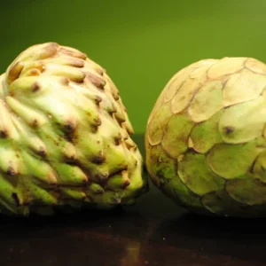 Dr. White Cherimoya Grafted Tree - 1-2 ft Tall Live Plant - Sweet Fruit - 3 Gal Pot - Image 1