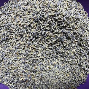 Dried Lavender Buds for Skincare, Home Fragrance & DIY Projects - Image 1
