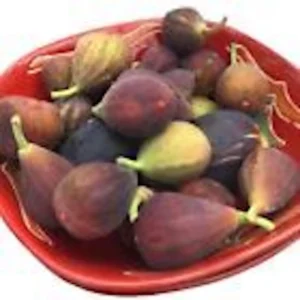Dwarf Fig Tree Live Plant - Self-Fertile Fignomenal Variety - Produces Fruit Indoors/Outdoors - Image 4