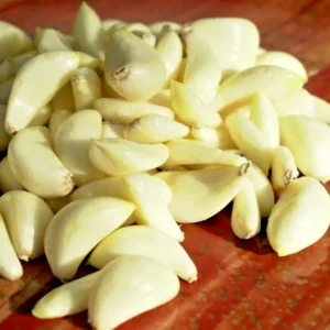 Early Italian Garlic Bulbs – Organic Heirloom Hardneck – 3 Bulbs, 2 lbs – Plant or Eat - Image 4