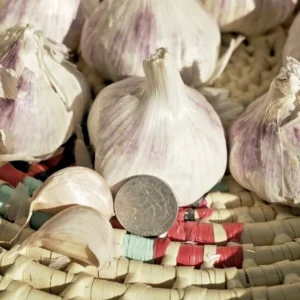 Early Italian Garlic Bulbs – Organic Heirloom Hardneck – 3 Bulbs, 2 lbs – Plant or Eat - Image 6