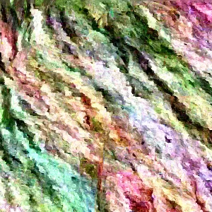 Eastern Redbud Tree Live Plant - Cercis canadensis - 16-24 Inches Tall - 1-2 Year Old - Image 4