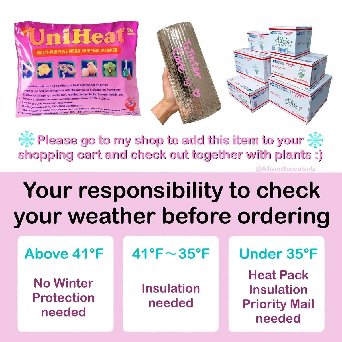 Echeveria Lola Succulent Live Plant – 2-inch Pot – Indoor/Outdoor - Image 2