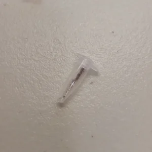 Echeveria Red Velvet Succulent Live Plant – Drought Tolerant Indoor - Image 2