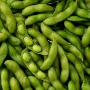 Edamame Soy Bean Seeds - Non-GMO Vegetable Seeds - Fresh & Easy to Grow - Image 3