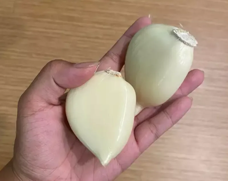 Elephant Garlic Cloves - Fresh Harvest USA Grown - Perennial Edible Bulb - Image 2