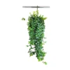 English Ivy Live Plant – 10 inch Hanging Basket – Indoor Trailing Houseplant - Image 1