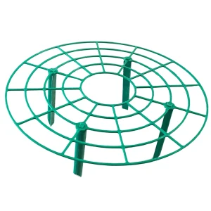 Everbearing Strawberry Plants Bare Root + Green Supports Bundle - Outdoor Berry Plant - Image 5