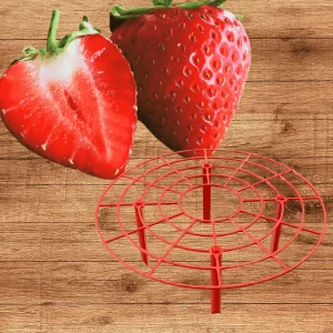 Everbearing Strawberry Plants Bare Root with Supports - USA Grown, Zones 4-9 - Image 2