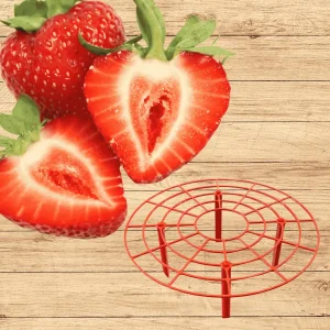 Everbearing Strawberry Plants Bare Root with Supports - USA Grown, Zones 4-9 - Image 1