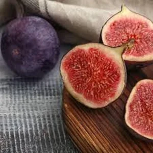 Fig Fruit Tree Live Plant - Sweet Edible Figs - Half Gallon Pot - Image 2