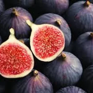 Fig Fruit Tree Live Plant - Sweet Edible Figs - Half Gallon Pot - Image 3