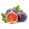 Fig Fruit Tree Live Plant - Sweet Edible Figs - Half Gallon Pot - Image 1