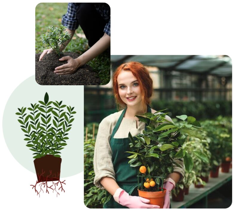 find-a-garden-specialist-garden-plant-nursery