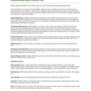 Fragrant Blue Hosta Bareroot Plant - Blue Foliage Perennial for Shade - Image 4