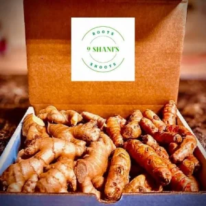 Fresh Wild Turmeric & Ginger 2 LB Each - Natural Roots - Image 4