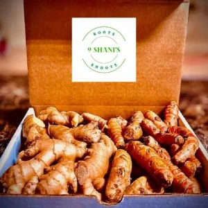 Fresh Wild Turmeric Root – 8 LB Each – Natural & Unprocessed – From Fiji - Image 3