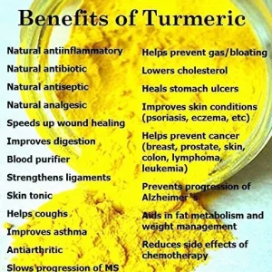 Fresh Wild Turmeric Root – 8 LB Each – Natural & Unprocessed – Highest Curcumin Value - Image 5