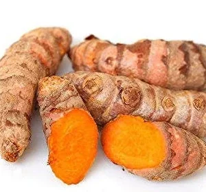 Fresh Wild Turmeric Root (8oz) - Organic Fijian Golden Spice - Image 2