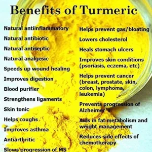 Fresh Wild Turmeric Root from Fiji - 1 lb Raw Turmeric for Health - Image 7