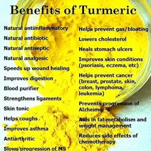 Fresh Wild Turmeric Root from Fiji - 20 LB Bulk - High Curcumin - Image 3