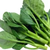 Gai Lan Broccoli Seeds - Heirloom Chinese Kale Vegetable Seeds ~9,000 Seeds - Image 1