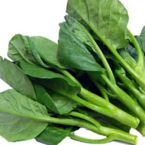 Gai Lan Broccoli Seeds - Heirloom Chinese Kale Vegetable Seeds ~9,000 Seeds - Image 1