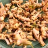 Galangal Rhizomes for Planting - Fresh, Easy to Grow, Edible - Image 1