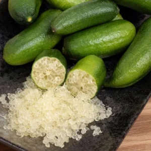 Giant Finger Lime Tree Live Plant – Grafted – 3 Gallon Pot – 1-2 ft Tall - Image 3