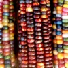 Glass Gem Corn Seeds - 500 Mix Pack - Organic, Multi-Color Vegetable Seeds for Outdoor Planting - Image 1