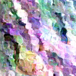 Glass Gem Heirloom Indian Corn Seeds - 100 Organic Non-GMO Rainbow Native Cherokee - Image 7