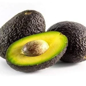 Grafted Avocado Tree Live Plant - Persea Americana, 3 Gallon Pot, Outdoor - Image 2