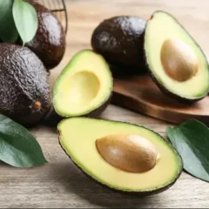 Grafted Avocado Tree Live Plant - Persea Americana, 3 Gallon Pot, Outdoor - Image 5