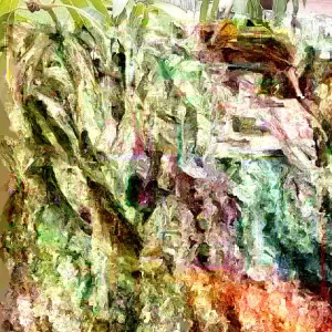 Grafted Mango Live Tropical Fruit Tree - 15-25 Inch Tall Plant - Indoor/Outdoor - Image 2