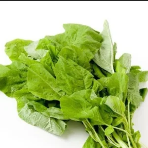 Green Amaranth Seeds - Heirloom, Non-GMO, Edible Leaves, 30-40 Days - Image 4