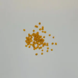 Green Bell Pepper Seeds – Yolo Wonder – 30 Seeds – Vegetable Seeds - Image 2