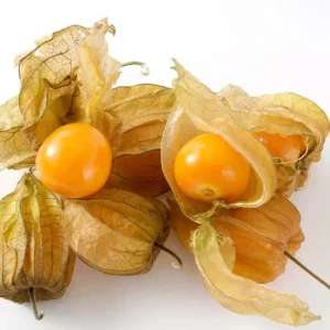 Ground Cherry Seeds 50 Count - Non-GMO Cape Gooseberry, Chinese Lantern, Golden Berry - Image 2