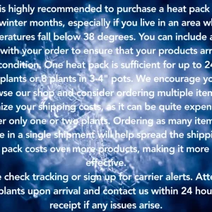 Heat Pack Thermal Plant Warmer - Plant Shipping Protection, 72 Hour - Image 2