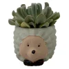 Hedgehog Ceramic Planter with Live Succulent Plant - 3 Inch Pot - Indoor Decor - Image 1