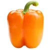 Heirloom Orange Bell Pepper Seeds – 50+ Organic Non-GMO Sweet Pepper Seeds for Garden - Image 1