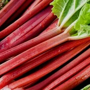 Heirloom Rhubarb Seeds - 25 Organic Perennial Vegetable Garden Seeds - Image 1