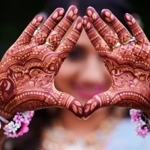 Henna Live Plant (Lawsonia inermis) for Mehndi Dye & Ornament | 1 Gallon Pot - Image 3