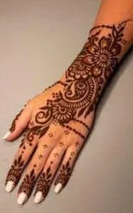 Henna Live Plant - Mehndi Plant for Dye & Garden - Bush Form - Image 2