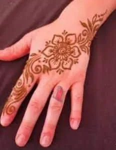 Henna Live Plant - Mehndi Plant for Dye & Garden - Bush Form - Image 3